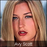 Avy Scott